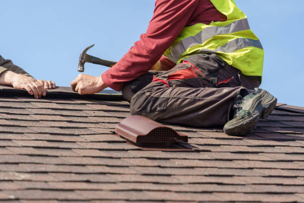 Best Flat Roof Repair Services  in Holualoa, HI