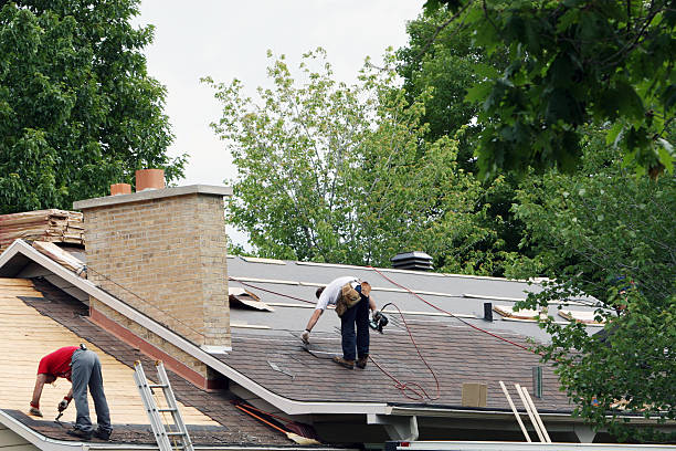 Best Metal Roofing Contractor  in Holualoa, HI