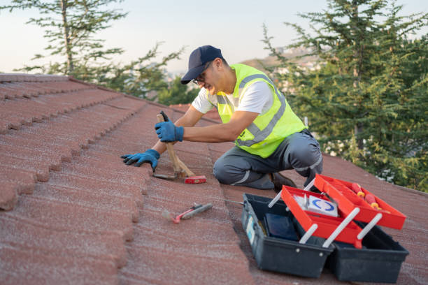 Best New Roof Installation  in Holualoa, HI