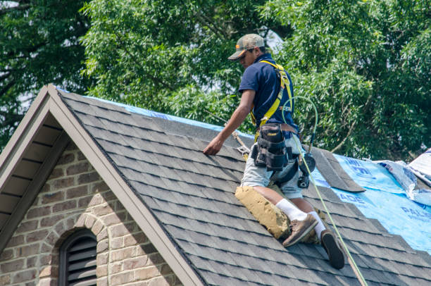 Best Residential Roofing Contractor  in Holualoa, HI